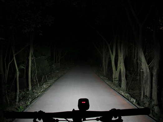 RAVEMEN PR900 bike light, anti-glare low beam